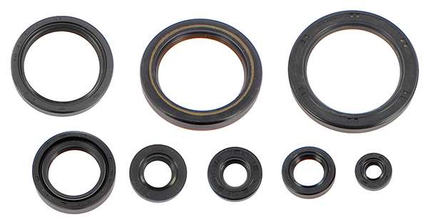 Kit paraoli motore Centauro Honda CRF 450R 21-25