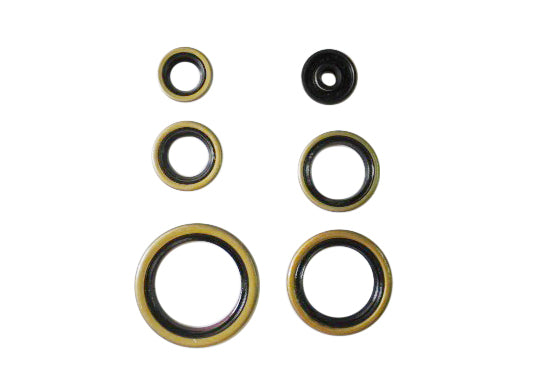 Kit paraoli motore NRTeam Ktm EXC 250 04-16