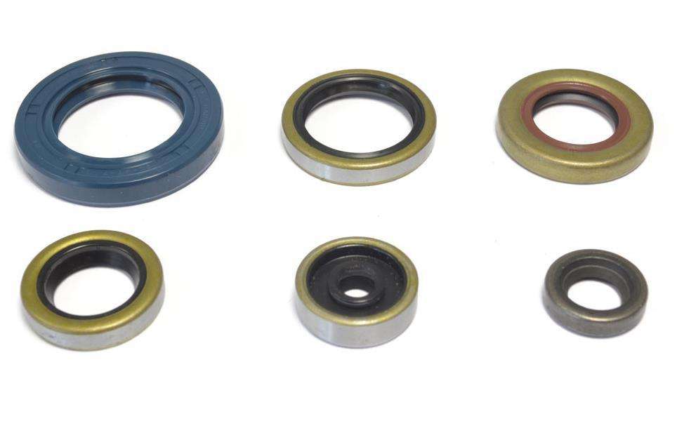Kit paraoli motore Centauro Gas Gas MC 65 21-23
