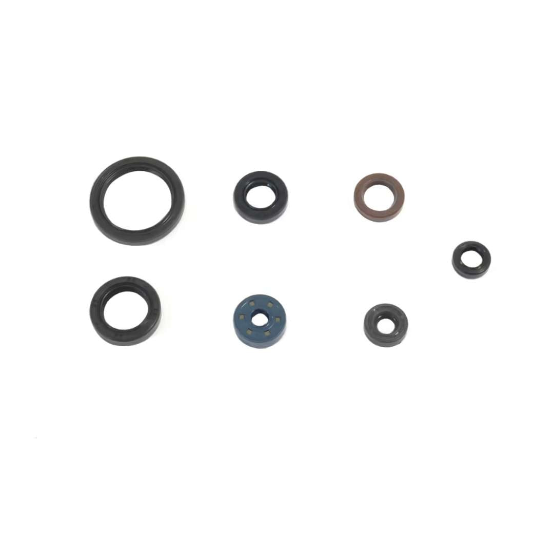 Kit paraoli motore Centauro FANTIC 450 XEF 22-23