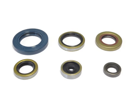 Kit de sellos de aceite de motor Centauro Husqvarna TC 65 17-23