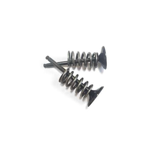 Kit conversione valvole Yamaha YZ 450 F (03-09) scarico Wossner